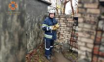 На Днепропетровщине спасатели вытащили из-под бетонной плиты маленького щенка