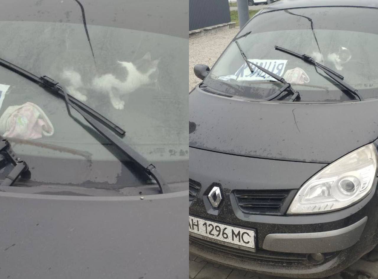 Новости Днепра про На Дніпропетровщині на АЗС четверту добу стоїть машина з котом всередині