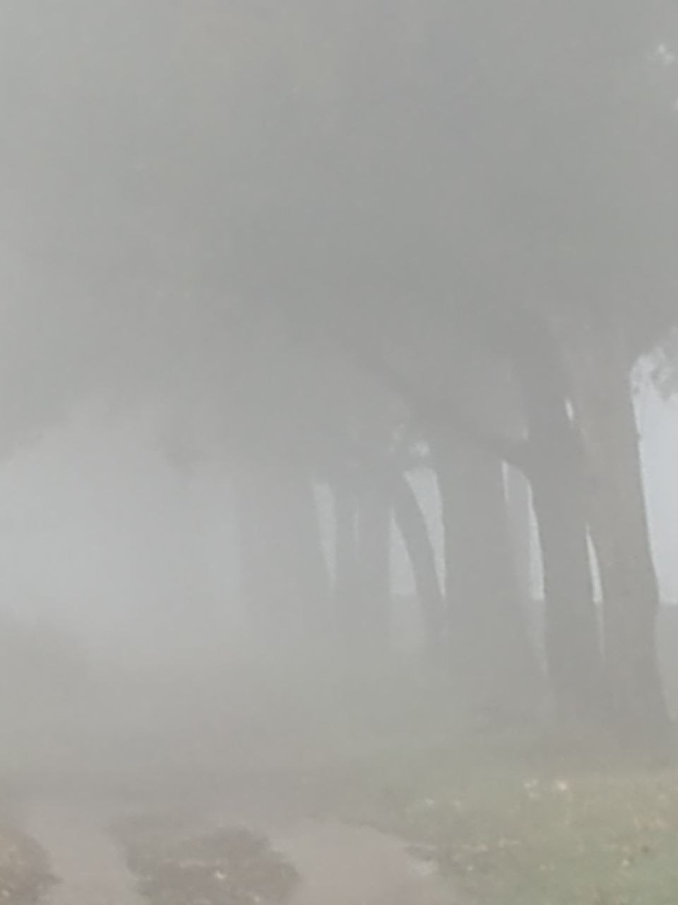 Новости Днепра про Как в фильме ужасов: Днепр утонул в очень густом тумане (ФОТО)
