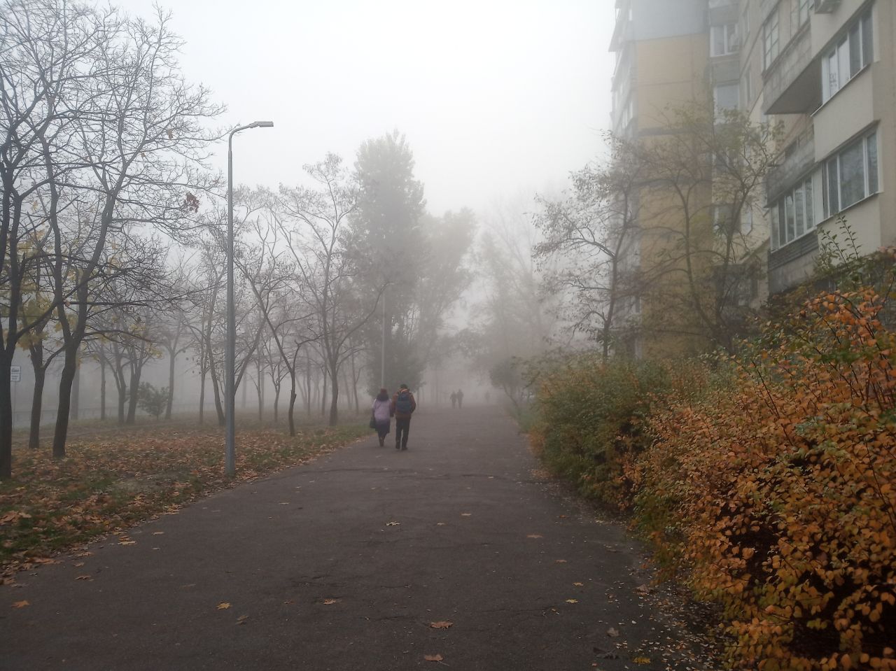 Новости Днепра про Перший рівень небезпеки: Дніпро знову затягне густим туманом