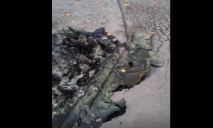Жахливий сморід: у Дніпрі на Тополі невідомі палили сміття разом з баками