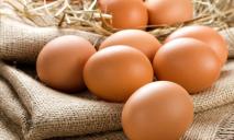 Цены на яйца в Днепре догоняют европейские: сколько стоит десяток