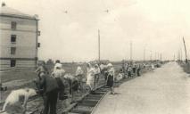 Вузовский массив и черта города: в сети опубликовали фото проспекта Гагарина в Днепре 1930-х годов