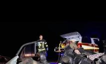 Погибли трое: на трассе Днепр-Никополь произошла ужасная авария (ФОТО)