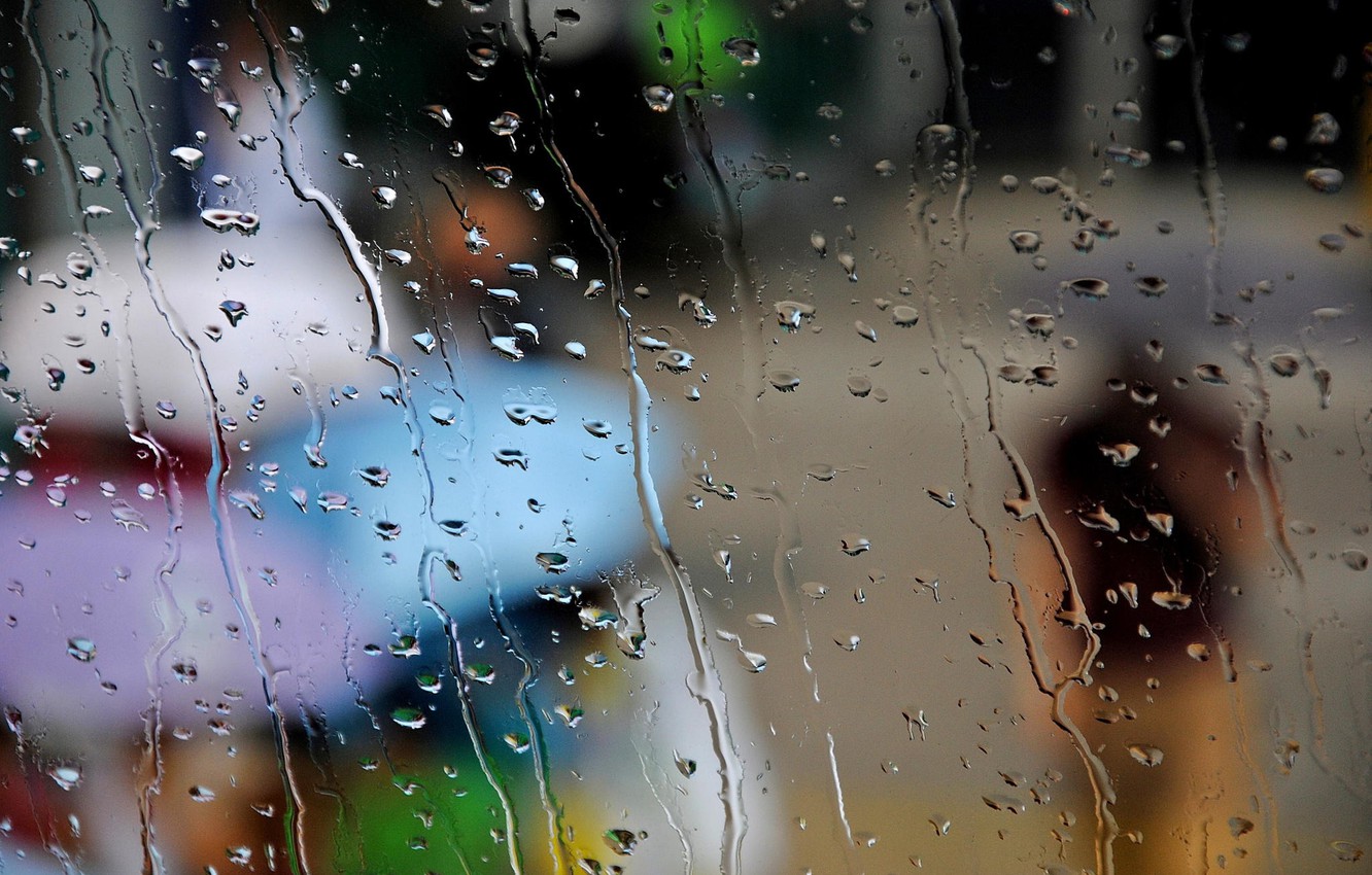 Новости Днепра про Погода в Дніпрі в неділю, 20 листопада: хмарно, очікується дощ