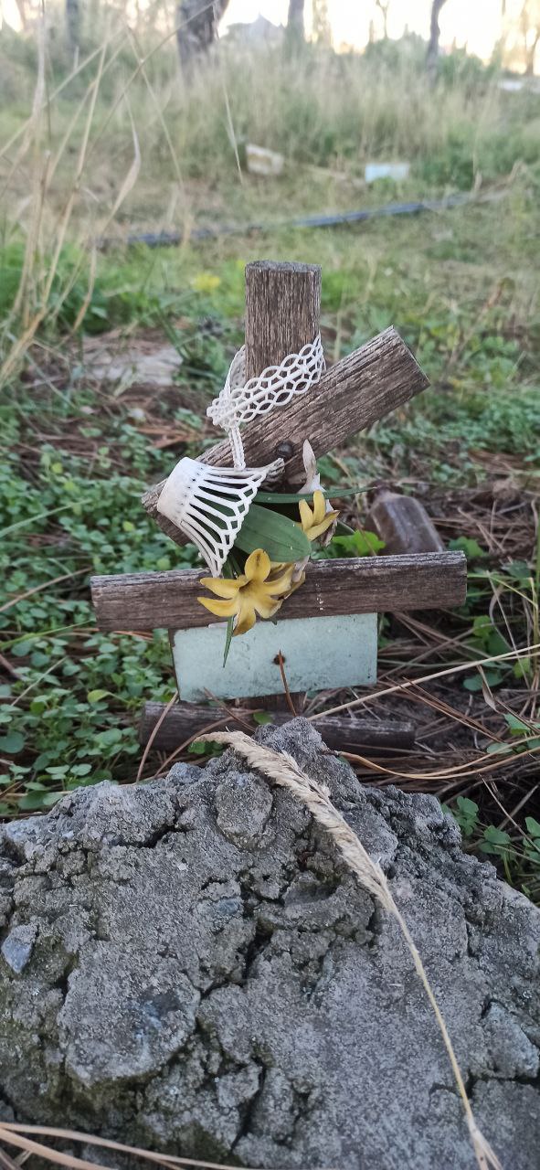 Новости Днепра про Как выглядит исчезающее кладбище животных в Днепре (ФОТО)