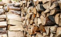 Допомога нині потрібна будь-яка: мешканцям Криворізького району нададуть гуманітарку дровами