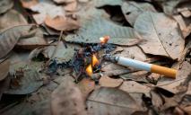 Вредные привычки: в Днепре мужчине вынесли предупреждение за курение в парке