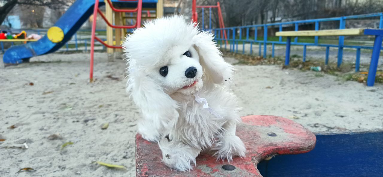Новости Днепра про Пупсики и собачки: на Победе кто-то оставил на детской площадке десятки игрушек