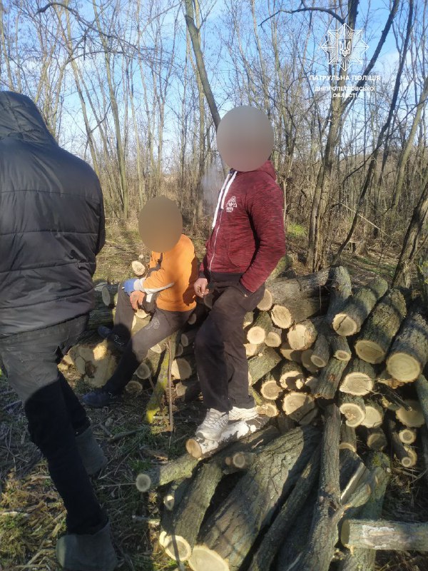 Новости Днепра про Будут судить: на Днепропетровщине мужчины пилили деревья без разрешительных документов