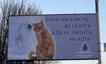 Щоб не митись, як коти: у Павлограді з’явився дивний білборд від комунальників