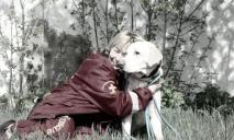 Знала вся Украина: на Днепропетровщине умерла известная «танцующая» собака-спасатель