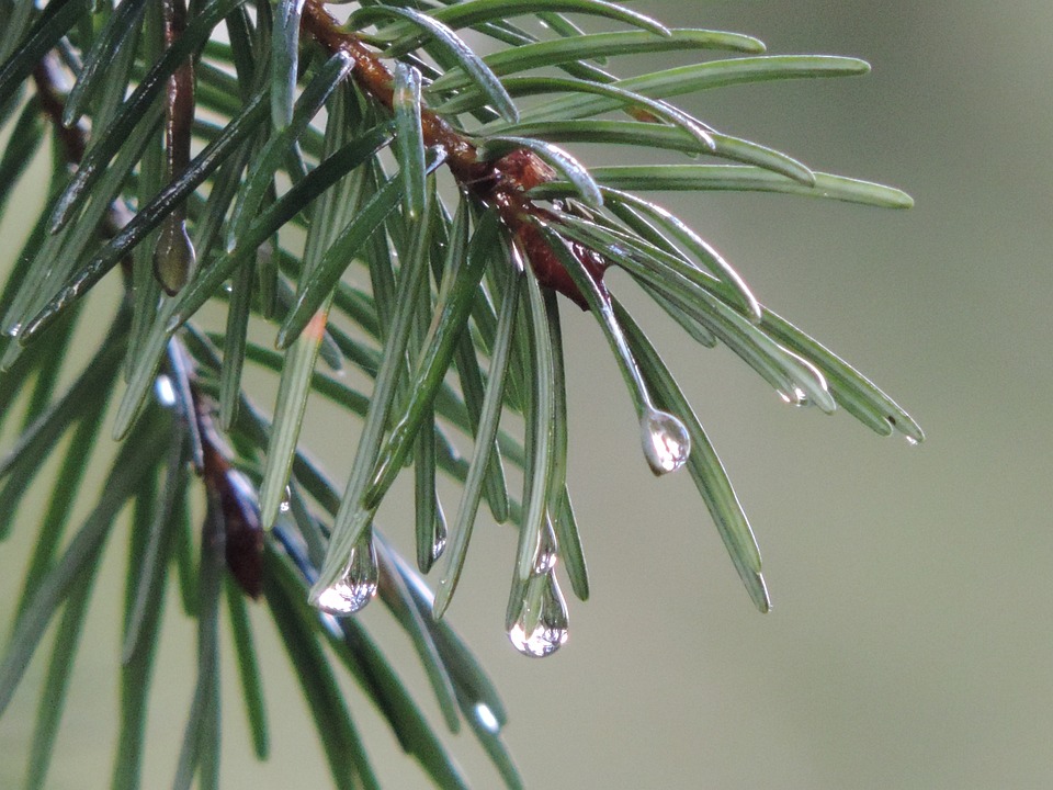 Новости Днепра про Погода в Дніпрі у суботу, 10 грудня: очікується невеликий дощ