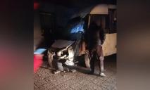 В Днепре на проспекте Хмельницкого маршрутка №136А врезалась в электроопору: водитель умер