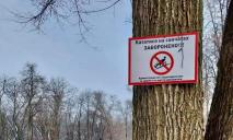 У парках Дніпра заборонили спускатися на санчатах або лижах