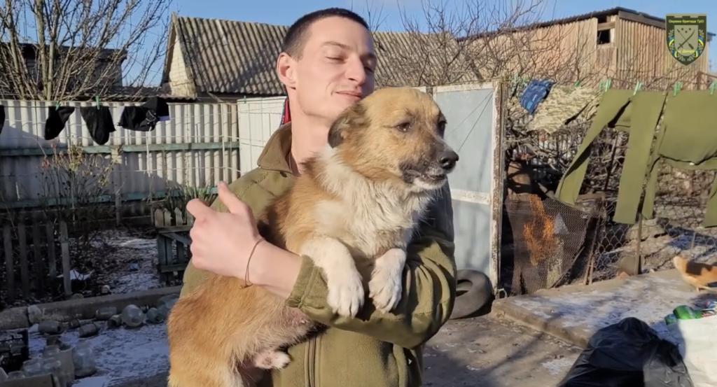 Новости Днепра про Новый Патрон: раненый пес сбежал с позиций оккупантов к защитникам Днепра (ВИДЕО)