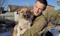 Новий Патрон: поранений пес втік з позицій окупантів і прибіг до захисників Дніпра (ФОТО)