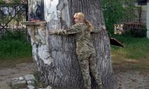 Россияне в Запорожской области срубили на дрова 600-летний дуб