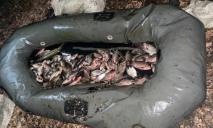 Наловил сеткой на 500 тысяч гривен: в Днепропетровской области задержали браконьера
