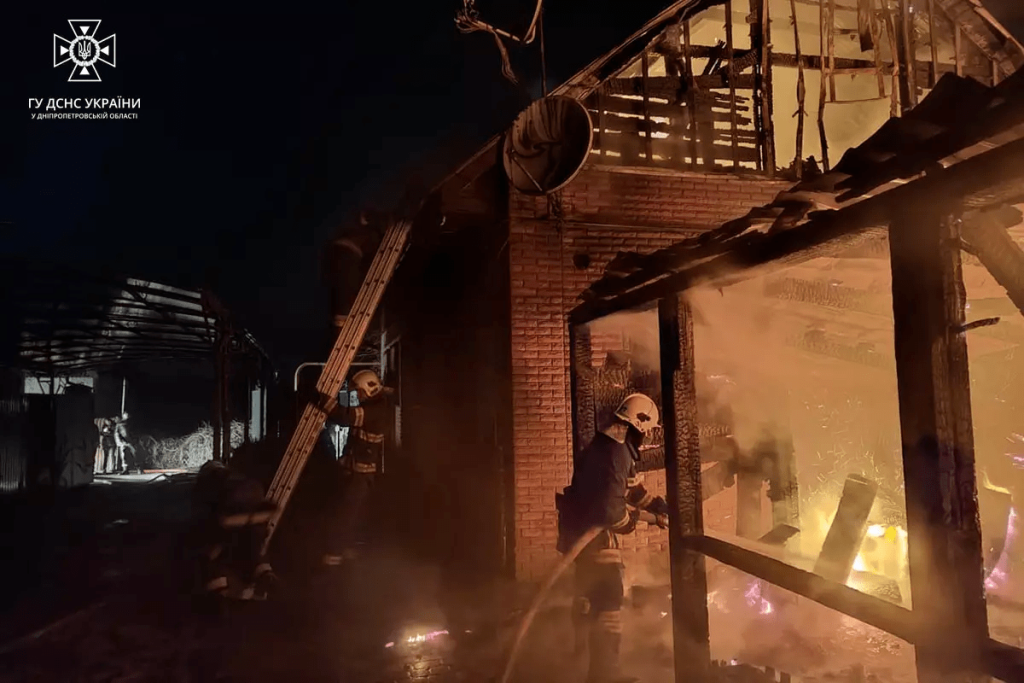 Новости Днепра про Большой пожар в Павлограде: пламя с летней кухни перекинулось на крышу дома (ФОТО)