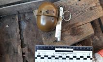 На Днепропетровщине мужчина бросил гранату в чужой двор: у него дома нашли еще оружие