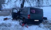 На Днепропетровщине Mercedes врезался в дерево: водителя заблокировало в салоне