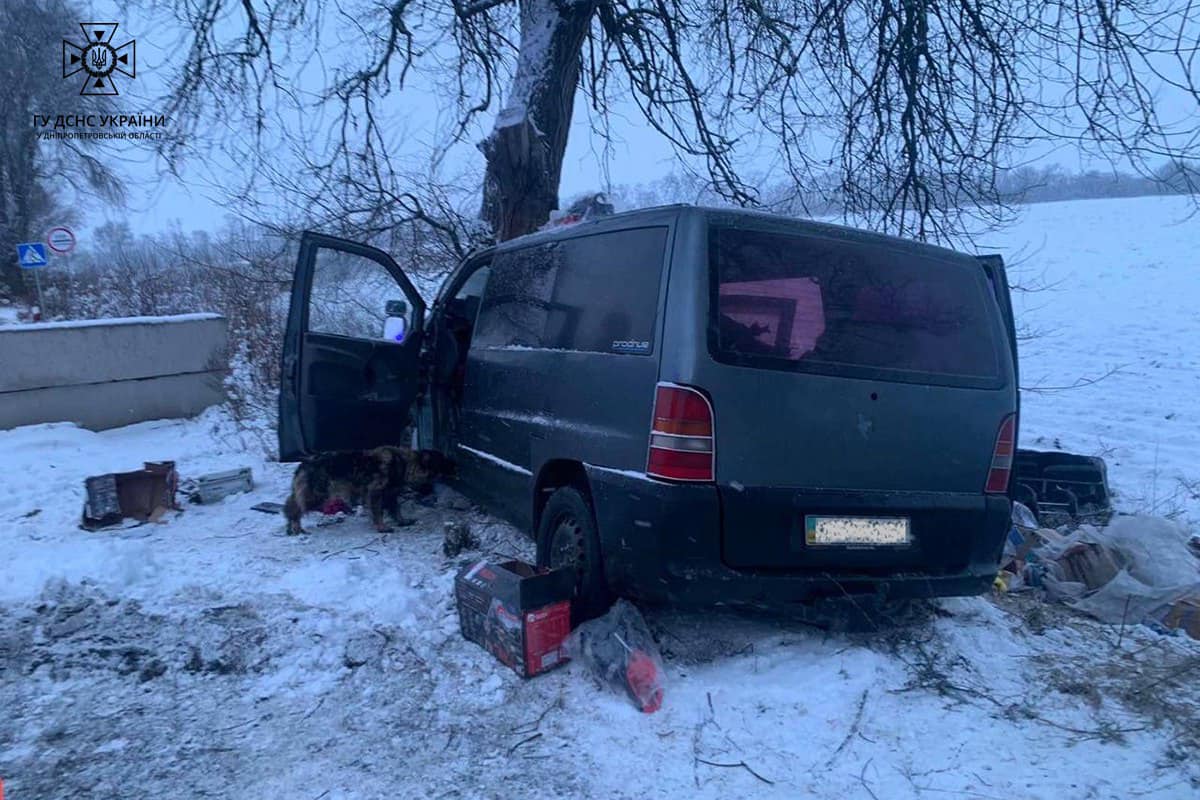 Новости Днепра про На Дніпропетровщині Mercedes врізався в дерево: водія заблокувало в салоні