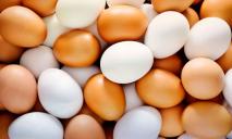 “Расизм“ чи природне явище: фахівці розповіли про різницю між коричневими та білими яйцями