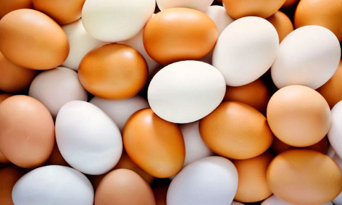 Новости Днепра про “Расизм“ чи природне явище: фахівці розповіли про різницю між коричневими та білими яйцями