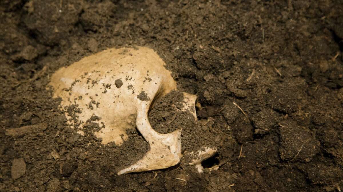 Новости Днепра про Останки пролежали багато років: у Кривому Розі знайшли людські останки