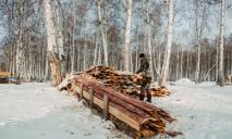 В Днепропетровской области 62-летний мужчина отморозил пальцы, пока рубил дрова