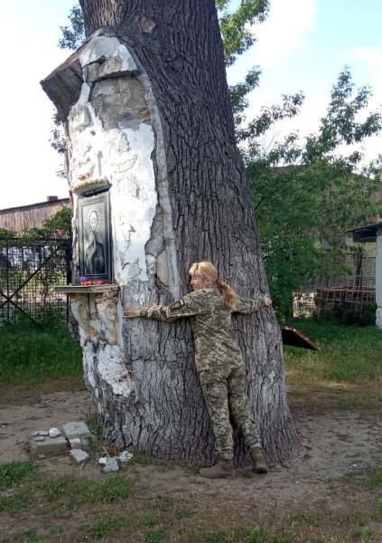 Новости Днепра про Росіяни в Запорізькій області зрубали на дрова 600-річний дуб