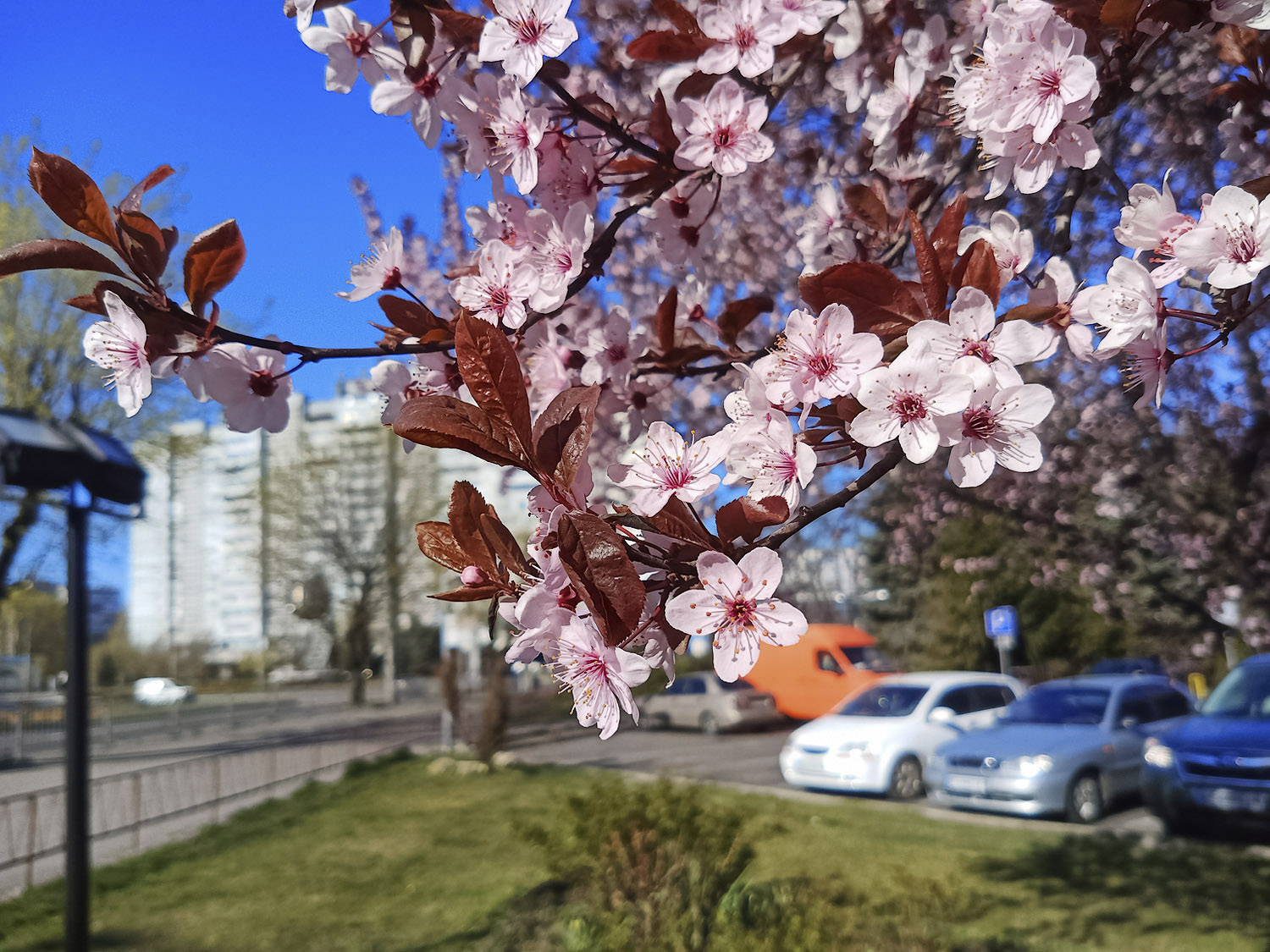 Новости Днепра про До +17: Дніпро накриє справжнє весняне потепління
