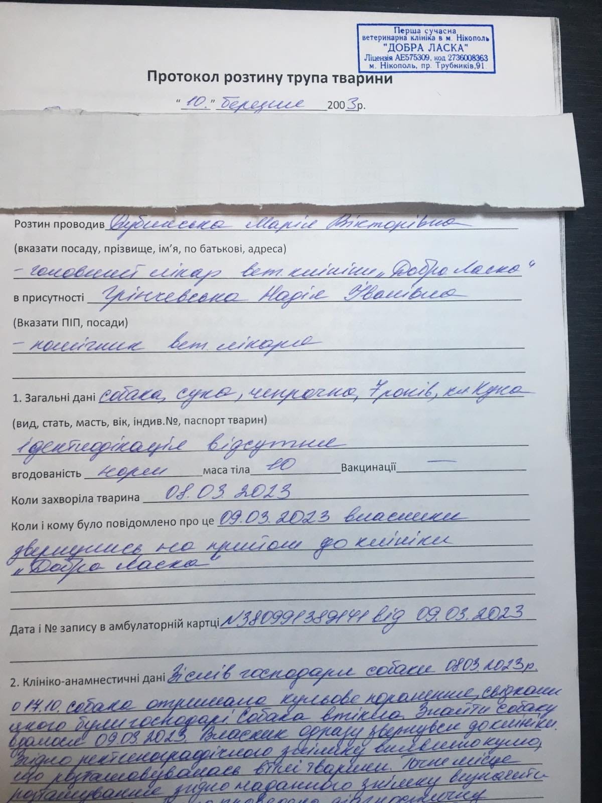 Новости Днепра про На Дніпропетровщині собаку розстріляли на очах у господарки