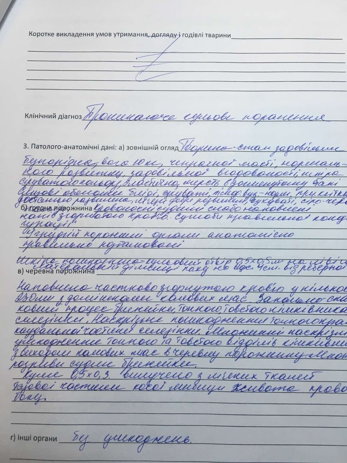 Новости Днепра про На Днепропетровщине собаку расстреляли на глазах у хозяйки