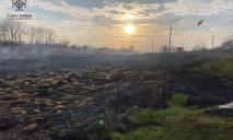 Дніпропетровщина у вогні: за минулу добу в області згоріло 46 га сухостою
