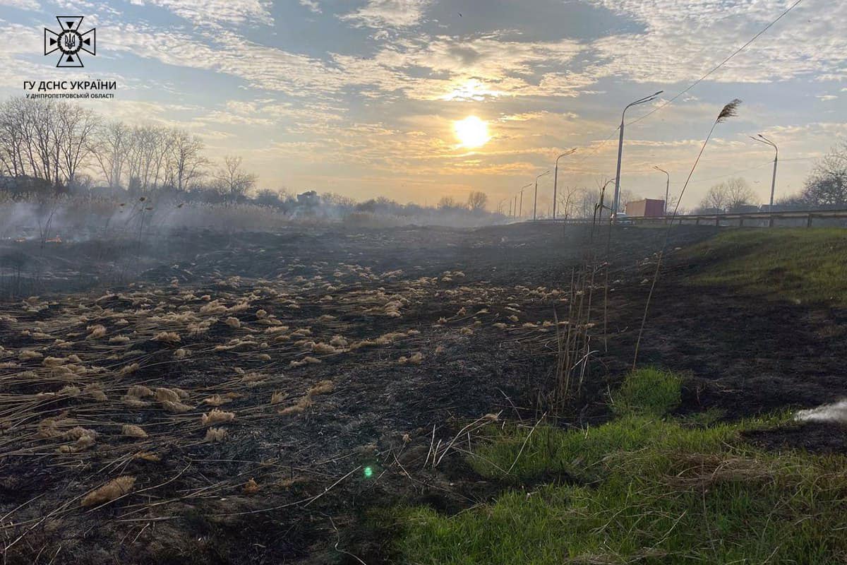 Новости Днепра про Днепропетровщина в огне: за минувшие сутки в области сгорело 46 га сухостоя