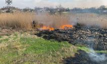 Днепропетровщина в огне: за минувшие сутки в области сгорело 46 га сухостоя