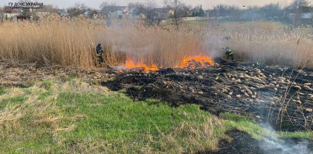 Днепропетровщина в огне: за минувшие сутки в области сгорело 46 га сухостоя