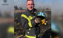 Испуганный серый комочек: на Днепропетровщине пожарные спасли зайчонка