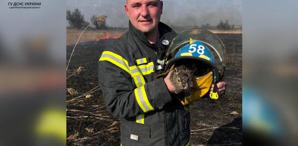 Испуганный серый комочек: на Днепропетровщине пожарные спасли зайчонка