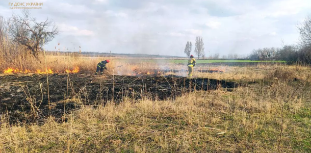 Ожоги 85% тела: на Днепропетровщине мужчина пострадал в результате пожара в экосистеме