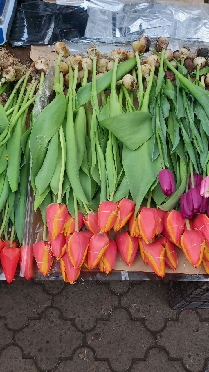Новости Днепра про Святковий ажіотаж: скільки коштують квіти у Дніпрі 8 березня