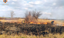Опіки 85% тіла: на Дніпропетровщині чоловік постраждав внаслідок пожежі в екосистемі
