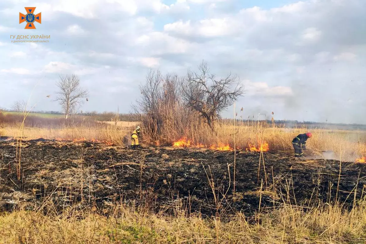 Новости Днепра про Опіки 85% тіла: на Дніпропетровщині чоловік постраждав внаслідок пожежі в екосистемі