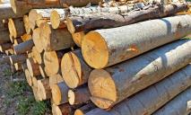 На Дніпропетровщині в’язень та його спільники продавали неіснуючі дрова