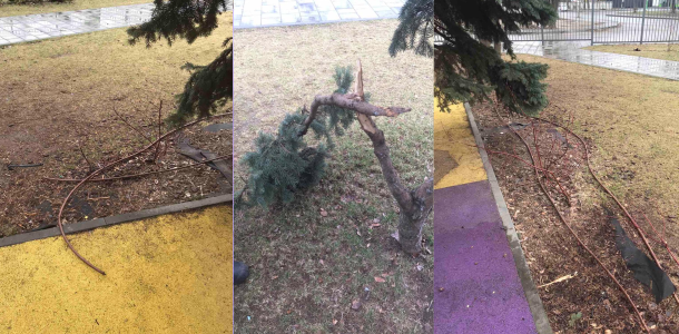 Разбитые тренажеры и поломанные деревья: в Днепре вандалы атаковали сквер на левом берегу