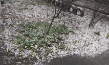 Зима посреди весны: в Днепре в конце марта выпал снег (ФОТО)