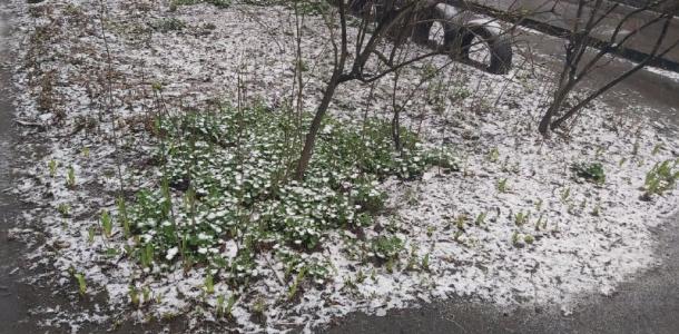 Зима посреди весны: в Днепре в конце марта выпал снег (ФОТО)