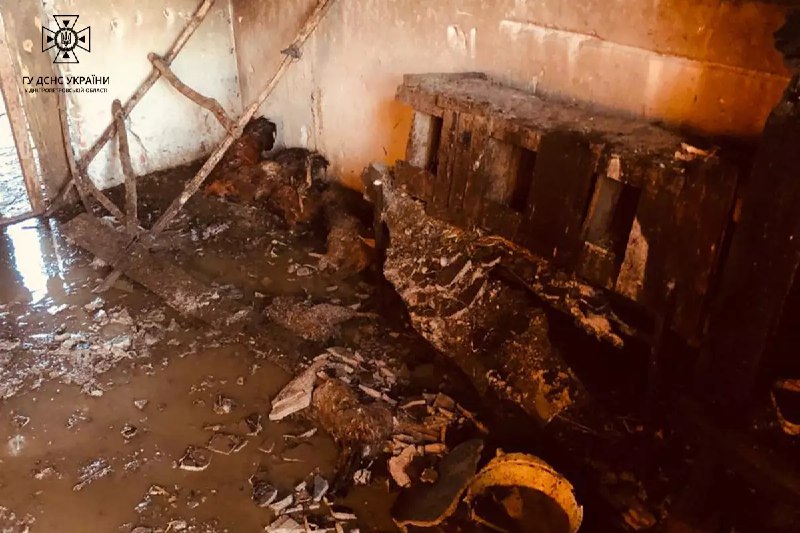 Новости Днепра про Из-за пожара на Днепропетровщине погибли домашние животные: теленок, 10 кур и 5 уток